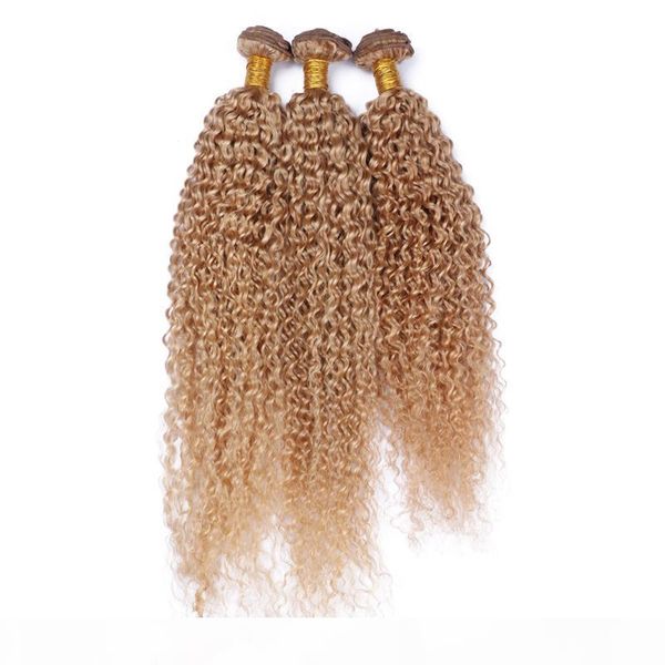 

new arrival kinky curly hair weaves 3pcs malaysian #27 pure color human hair bundles afro kinky curly hair extensions for black woman