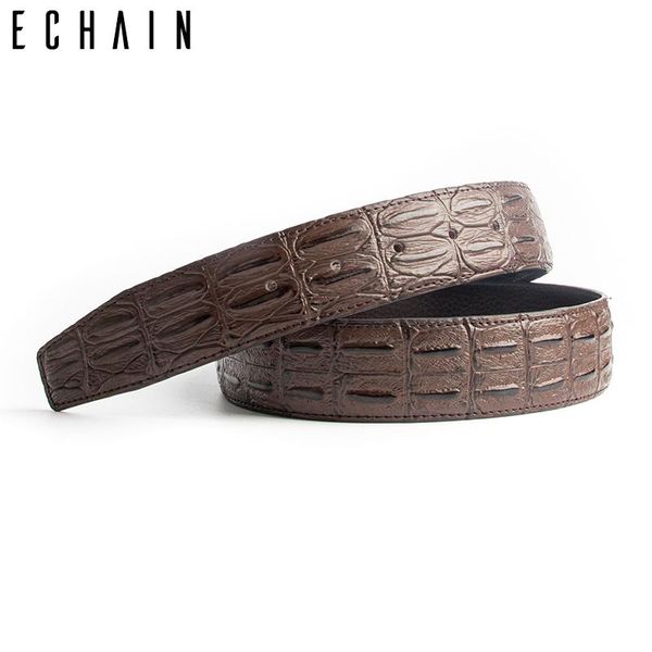 

echain men belt with brass buckle, Black;brown
