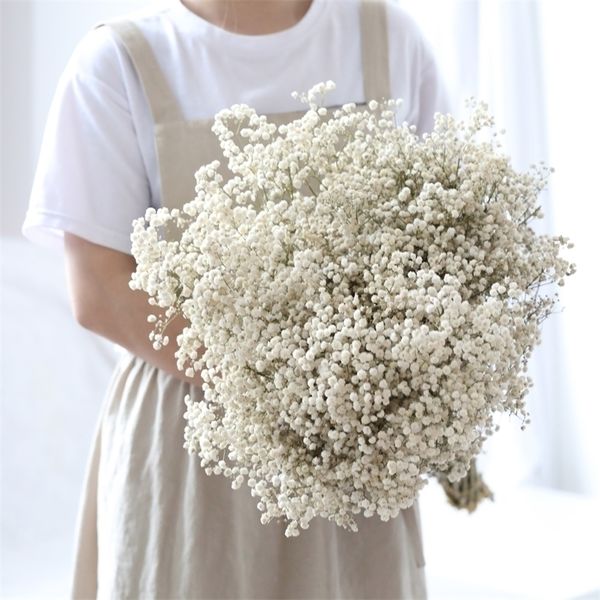 Natürliche getrocknete konservierte Blumen Gypsophila Paniculata Baby's Breath Blumensträuße Geschenk für Hochzeit Home Decor Requisiten Po 220311