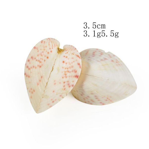 

scallop sea shells ocean beach clam seashells craft charms 35mm candle home decoration party wedding decor fish tank vase filler h jlltry