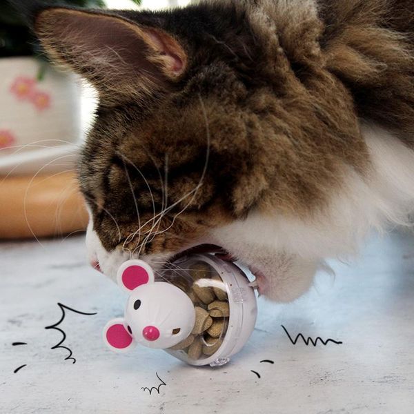 

cat toys [mpk toy] exercise toy for greedy and fat cats, feeder, control intake while encouraging