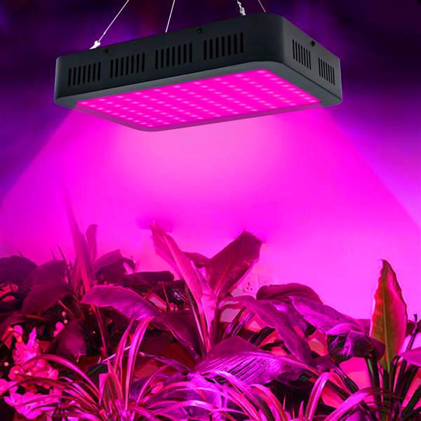 

Hot sale 1000W 100*10W Full Spectrum 3030 Lamp Bead Plant Lamp Single Control Black premium material Grow Lights