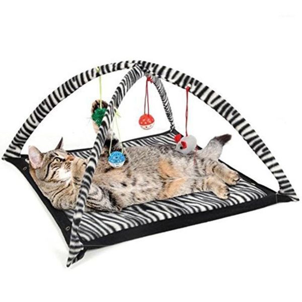 

funny cat play tent with hanging ball toys balls cat bed tent kitten mat exercise activity playing blanket portable pet supplies1