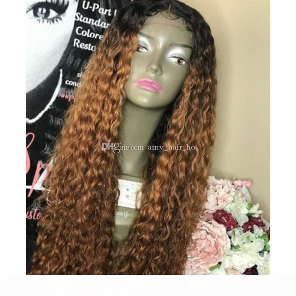 

brazilian virgin hair ombre brown t#1b 30 lace front wigs curly full lace human hair wigs 150% density pre-plucked wig, Black;brown