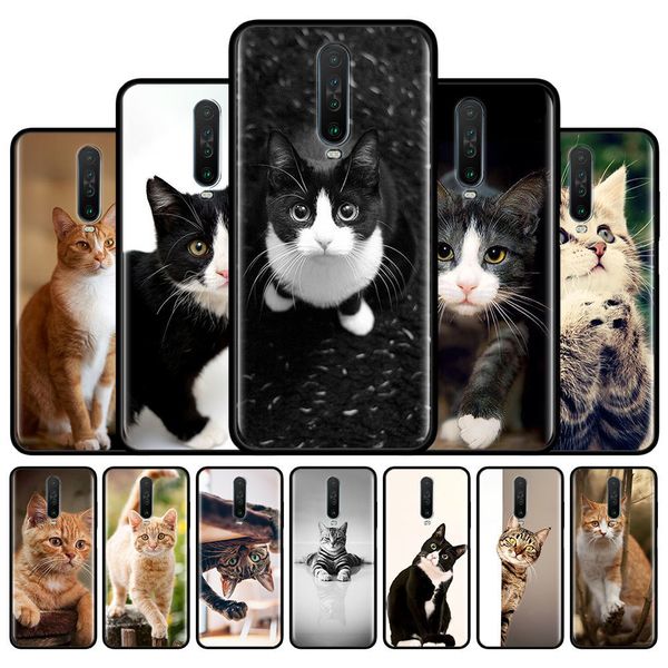 

cute cat phone case for xiaomi redmi 8a 7 7a 6 6a 9a 9c k20 note 8 8t 9s 9 pro max soft silicone back cover coque shell