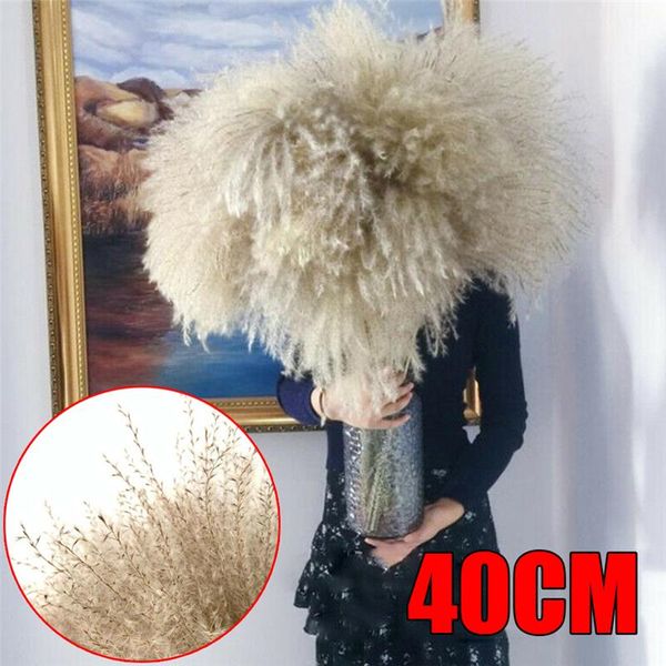 

15/50pcs high durability natural dried pampas grass reed plants white/primary color home wedding party flower bunch decoration