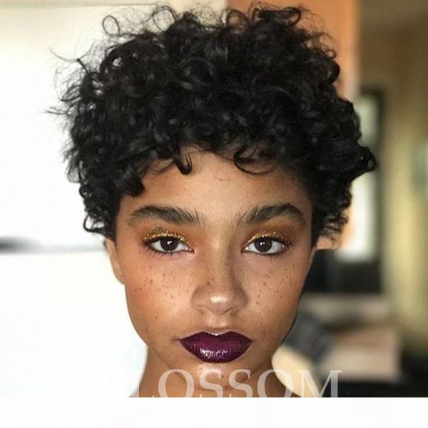 

human hair short curly wigs short curly hair wigs african american black curly afro curky wigs for black women, Black;brown