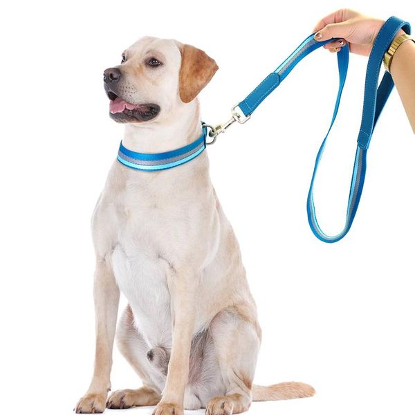 

nylon dog collar and leash set adjustable reflective strip dog collars and pet walking lead leash for small medium dogs bbydyr