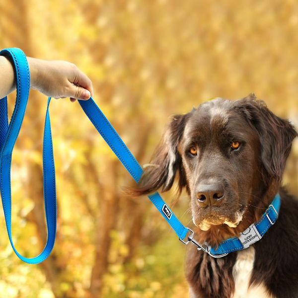 

120cm nylon dog leash reflective dog lead leash for small medium dogs walking training running durable bbyeba