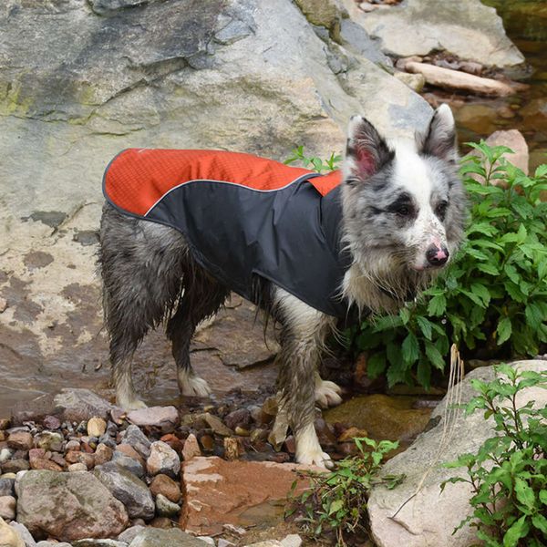 

blackblog digner outdoor sports assault coat windbreaker dog suit pet coat