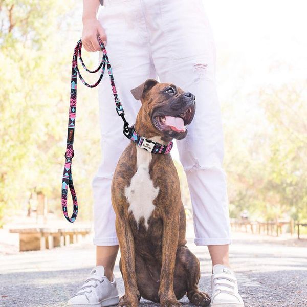 

150cm nylon dog leash printed french bulldog lead leash puppy small medium dogs cats leash for chihuahua sqcelp