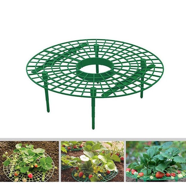 

полипропиленовый клубничный стенд садовый клубничный виноградник держатель открытый крытый фруктовый взбирающийся виноградник стеллаж садово