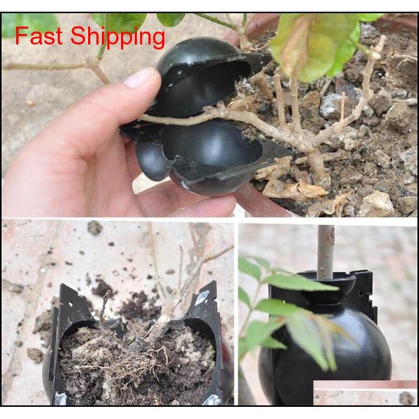 

new patio plant rooting ball plant root growing box grafting rooting growing box breeding case for garde qylkxy bdebaby