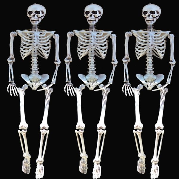 

by59t house robbery ghost grave room escape organ imitation human body model bone frame halloween horror props and props skeleton eagib