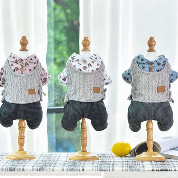 

autumn and winter 2020 teddy vip dog fashion trend pet clothing suppli