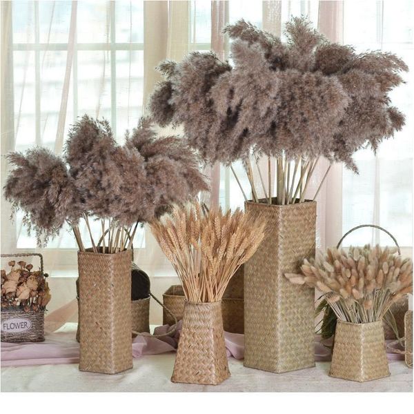 

10 pcs natural dried pampas grass phragmites communis for wedding dried flower bunch home decor diy craft dry flowers de jllzch