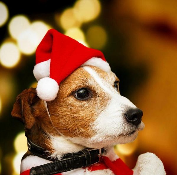 Animais de Estimação Chapéus de Natal Feliz Natal Decorações para Casa Cap Xmas Pequeno Pelúcia Santa Chapéu para Pet Dog Cat Hat Feliz Ano Novo Presente SN2023