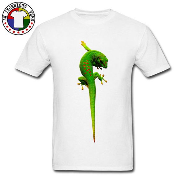 

sport southern africa green gecko image design t-shirts 2018 fashion summer tee shirt 3d printed reptilia animal male tshirt on sale