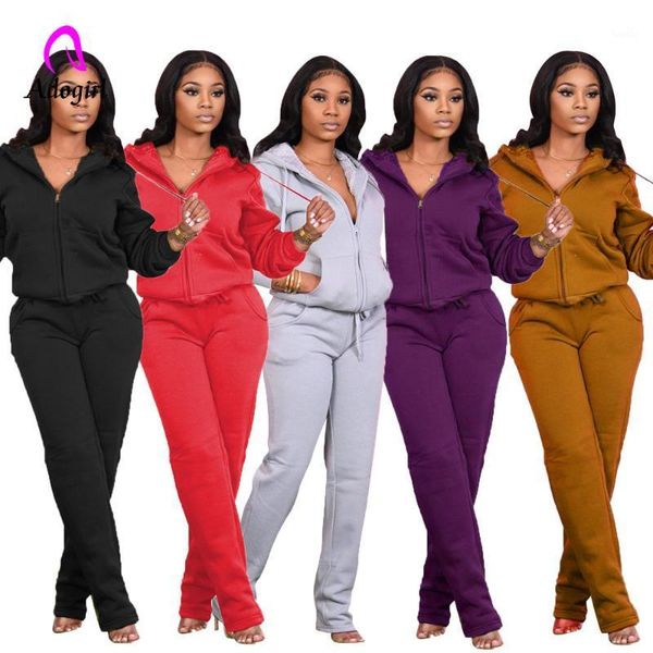 

thick warm fleece 2 piece sets women 2020 sporty tracksuits long sleeve hooded zipper jackets + loose sweatpants matching outfit1, Gray