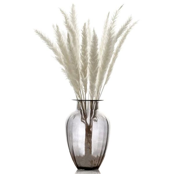 

15 pcs natural dried small pampas grass foxtail grass home decor dried phragmites flower wedding decor reed flower bunch