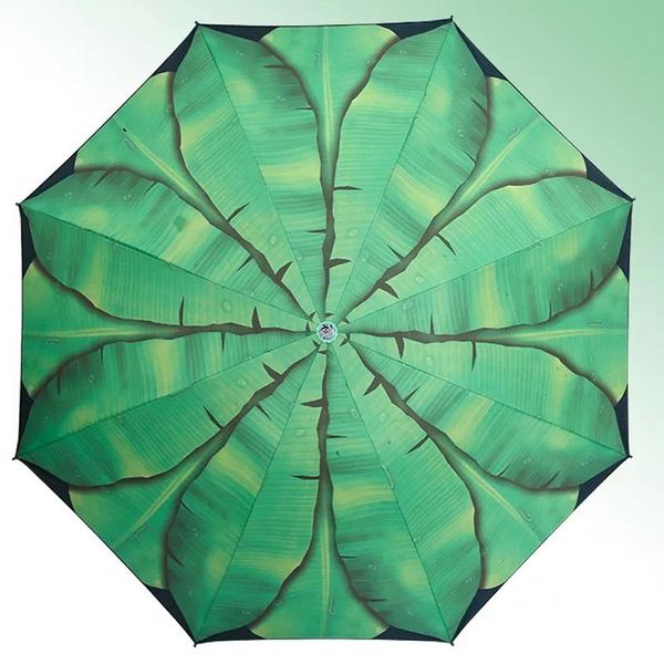 

складной зонт дождь женщины зонтик девушки моды paraguas parapluie mujer sombrinhas e guarda chuva вс зонт черный jllvzo mx_home