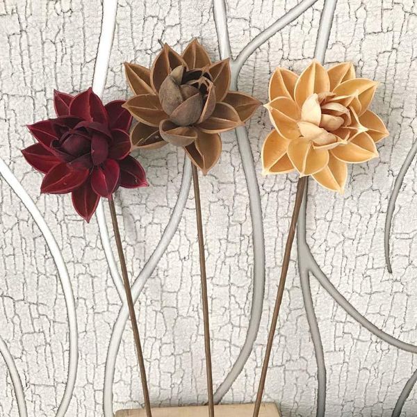 

10cm head,real natural dried pressed lotus flower,decorative handmade water lily flower branch,decoration for home,living room1