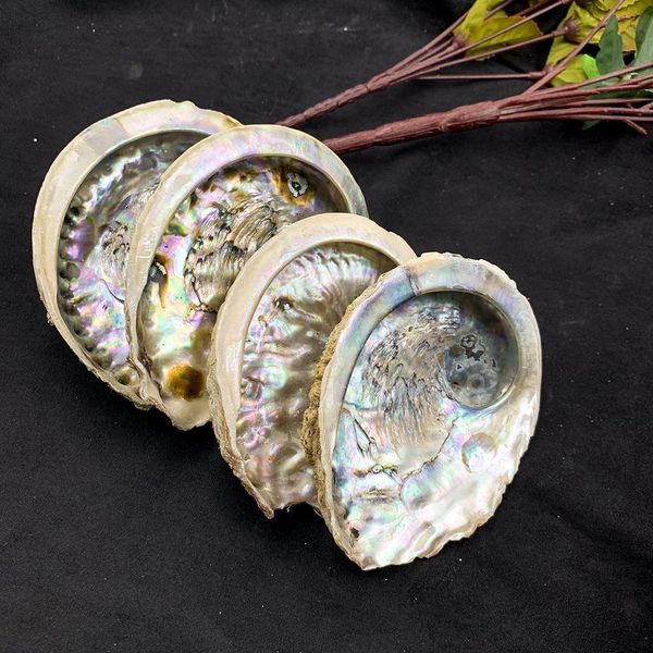 

11 12cm seashells natural abalone shells ocean home decor diy nautical wedding decoration soap holder shell for jewelry making h jllwmd