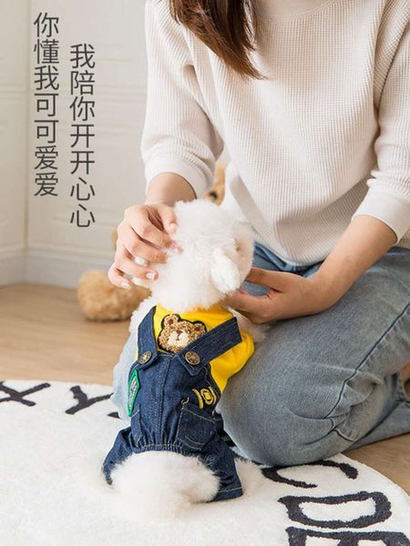 

net red dog new year teddy kirghibaume four legged autumn and cloth bear puppi winter