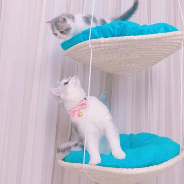 

cat beds & furniture woven house bed hanging hammock pet supplies for small animal - 2 layers blue velvet