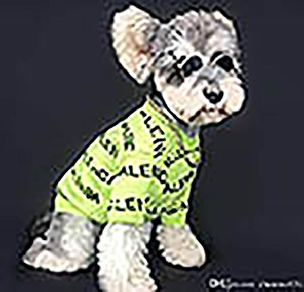 

trendy letter embroidery pets sweaters fashion soft touch pet cotton coats ins style elastic teddy costumes apparel