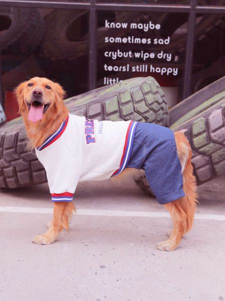 

big cloth golden labrador samoye heavy medium large dog four legged winter clothing