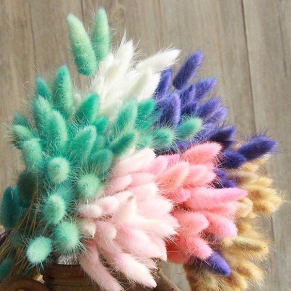 

30pcs/lot natural dried flowers rabbit tail grass bunch colorful lagurus ovatus real flower bouquet for home wedding de jllmpf