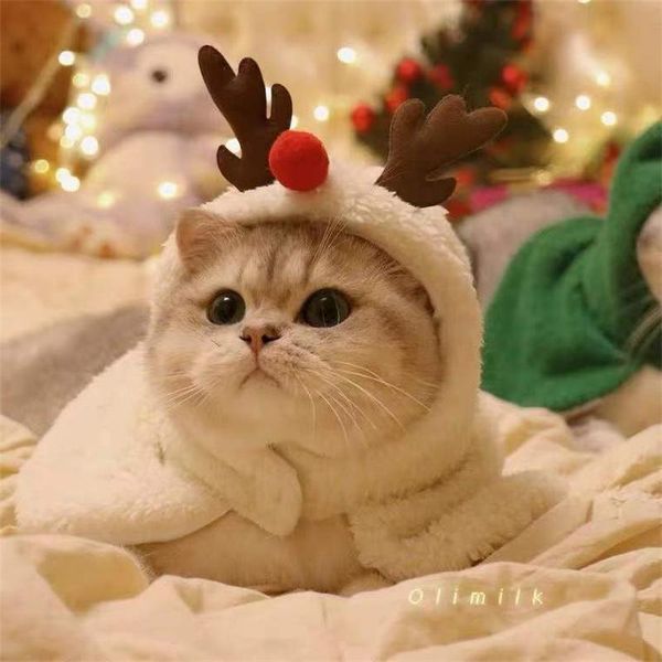 Katzenkostüme Weihnachten Haustierkleidung Lustiger Weihnachtsmann Geweih Hunde Jahr Haustiere Kleidung Winter Süßer Stil CW217
