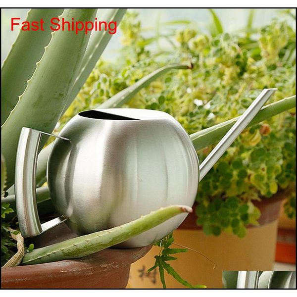 

1000ml with handle house plants rustproof large capacity kettle long narrow spout stainless steel indoor waterin qylply bdenet