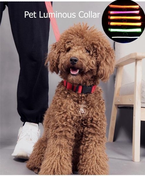 

dog collars & leashes led pet luminous collar usb charging teddy safety puppy anti-lost levert glow necklace pet1