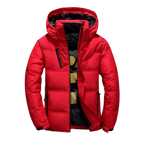

2020 new hooded thick warm duck jacket parka casual mens overcoat winter down coats men, Black