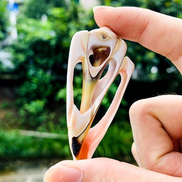 

5pcs 42 61mm natural shell conch decor diy jewelry pendants accessories specimen home decoration seashells for jewelry making h jlljpx