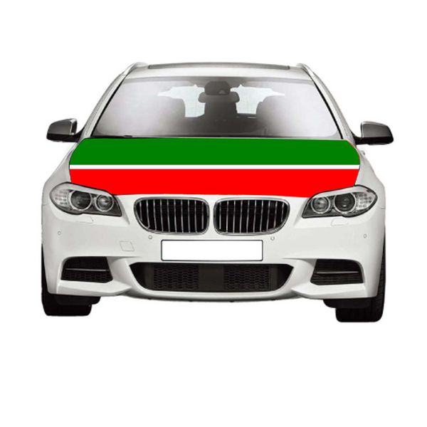 

republic of tatarstan flags 3.3x5ft 100%polyester,car bonnet banner