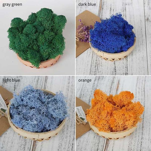 

decorative flowers & wreaths garden home decoration living moss gift box supplies multicolor micro landscape accessories eternal life 10g1
