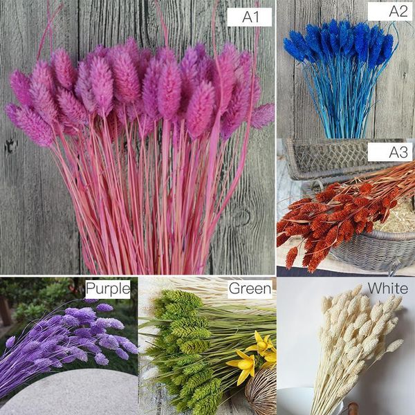 

decorative flowers & wreaths artificial gem grass everlasting flower natural simulation plants dried bouquets for home decoration living roo