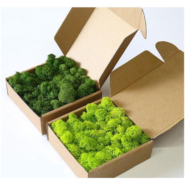 

20g/set artificial plant eternal life moss / garden home decoration wall diy flower material mini garden micro la jllpvr sport77777