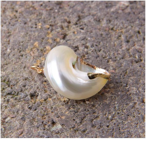 

22*14-26*16 mm 5 pcs natural spiral shell charm pendants conch at random gold for jewelry making diy necklace bracelet jllkbp, Black