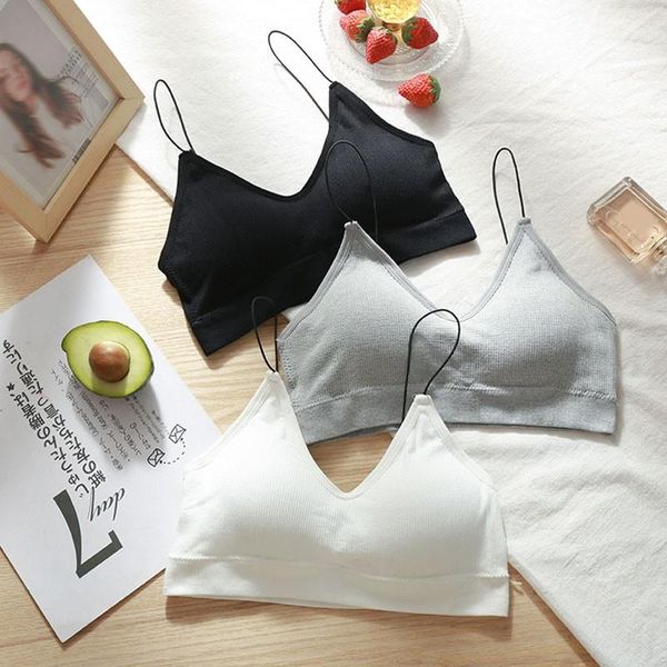 

camisoles & tanks tank women seamless crop beauty back wrap chest no steel ring female bralette soild colors cozy lingerie fem, Black;white