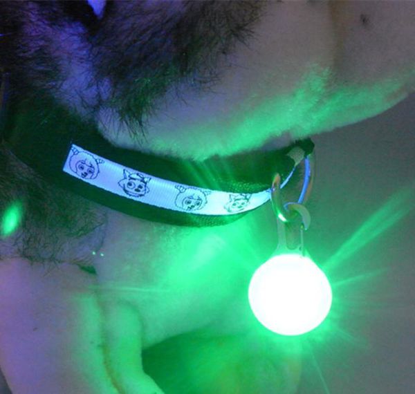 

led flashing pet collar dog cat puppy led night safety pedant pet buckle tie collar for training walkin wmtfik dh_garden