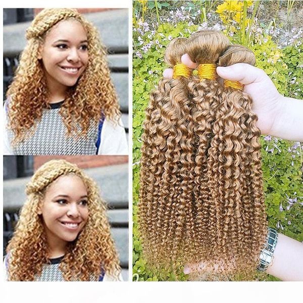 

brazilian kinky curly virgin hair weave colored 27# human hair 3 bundles selling brazilian virgin human hair weave extensions, Black