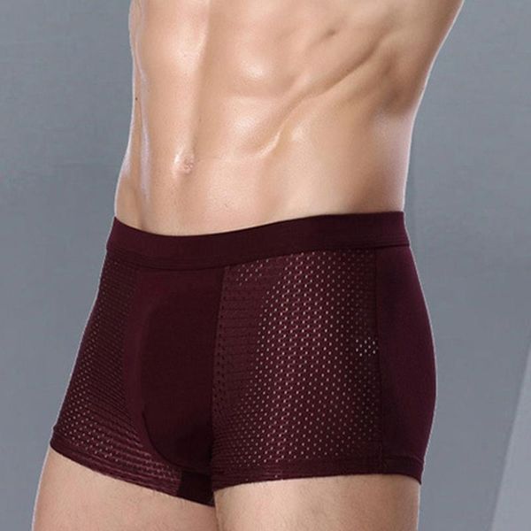 

underpants men's underwear mesh modal boxer briefs stretch boxers trunks shorts for men, Black;white