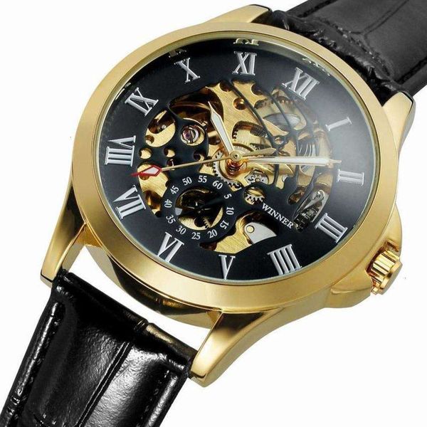 

t-winner 132 men's roman out hollow automatic mechanical watch1nju, Slivery;brown