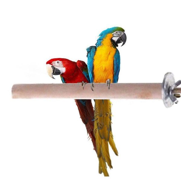 

parrot pet raw wood stand toy parakeet hamster branch perch qylequ yh_pack