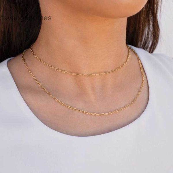 

simple paper clip 316l stainless steel classic clavicle chain gold plated necklace fashion accessories, Silver
