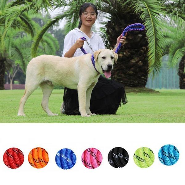 

reflective nylon round rope dog collar dog traction pet night running walking1